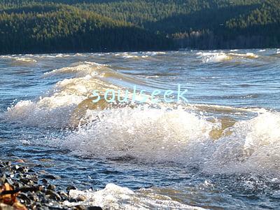 soulseek