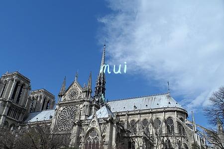 mui