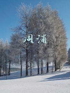 周浦