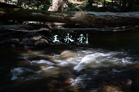 王永利