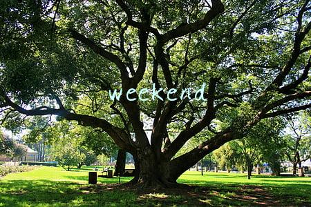 weekend
