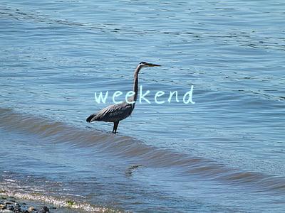 weekend