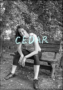 cedarwood(「是日美好事物」容量惊人的仙人掌形收纳袋 以及Anna Sui的独角兽香水)