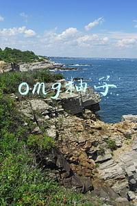 omg柚子