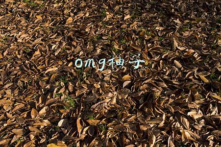 omg柚子