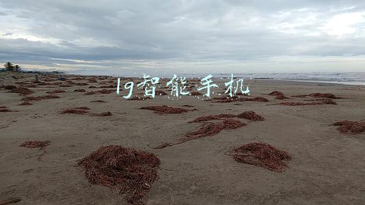 lg智能手机