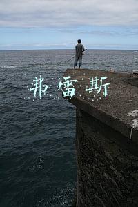 弗雷斯