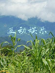互动娱乐