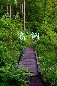 高钢
