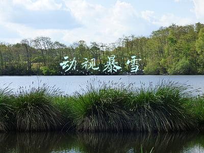动视暴雪