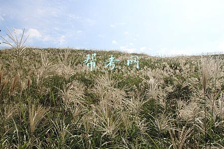 帮考网
