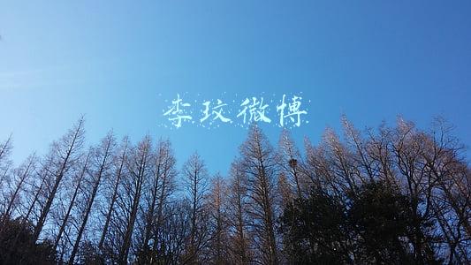 李玟微博