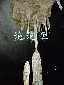泡泡鱼