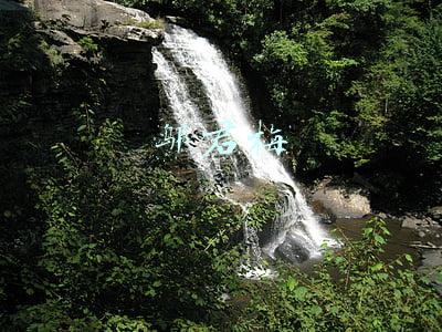 邬君梅