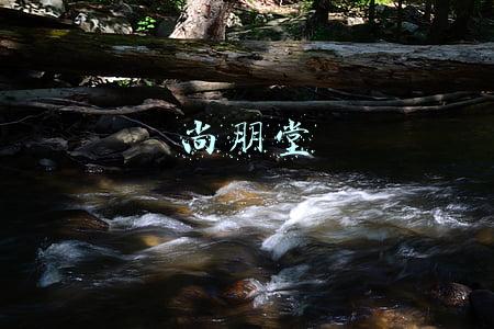 尚朋堂