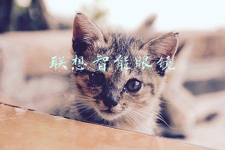 联想智能眼镜