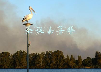 圣诞嘉年华