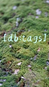 [db:tags]