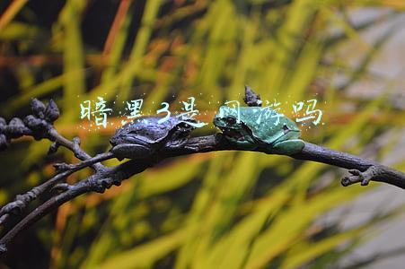 暗黑3是网游吗