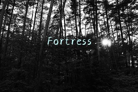 Fortress