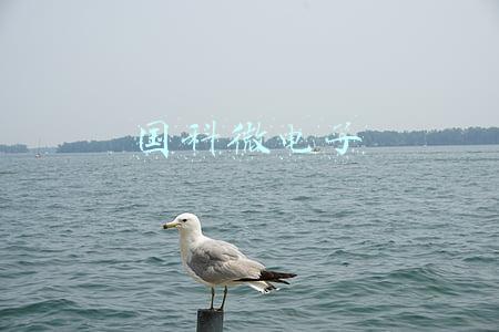 国科微电子