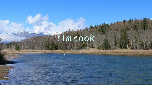 timcook