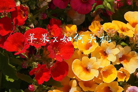 苹果x如何关机