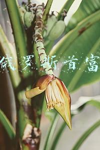 俄罗斯首富