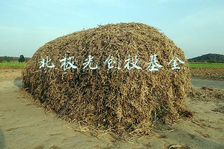 北极光创投基金