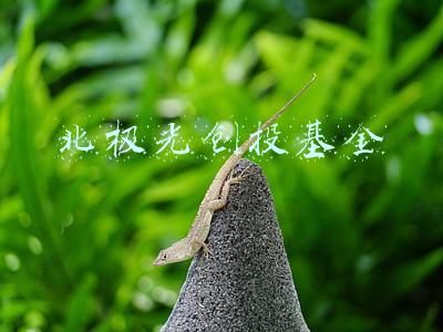 北极光创投基金