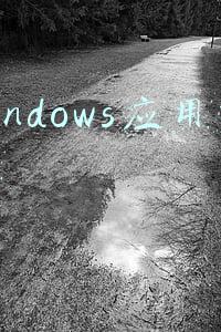 windows应用商店