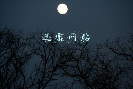 迅雷网站