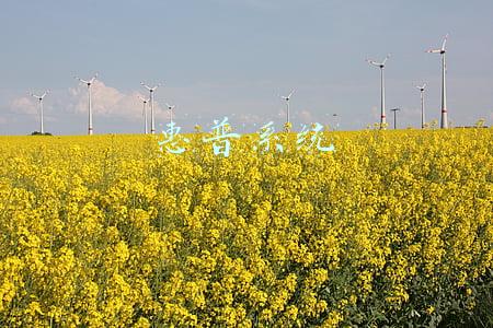 惠普系统