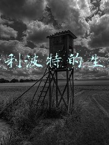 哈利波特的生日