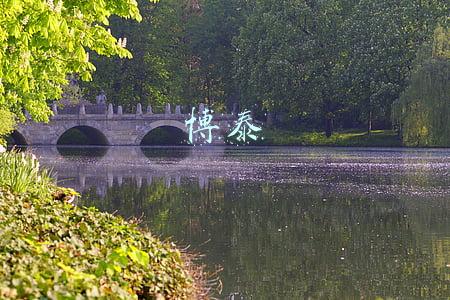 博泰