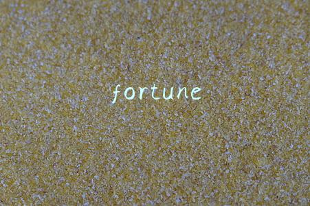 fortune