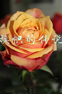 旗帜的传说