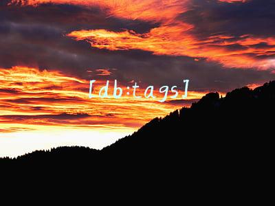 [db:tags]