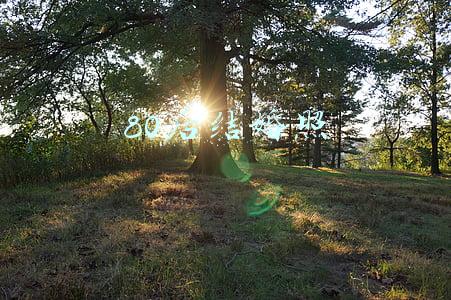80后结婚照
