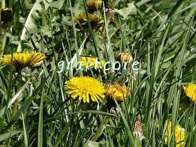 graphcore