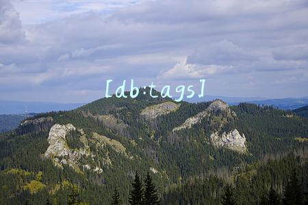 郑州logo设计，logo设计包含哪些项目?