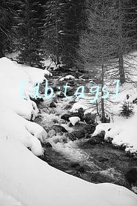 [db:tags]