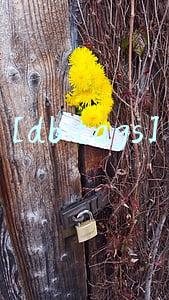[db:tags]