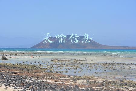 天喻信息