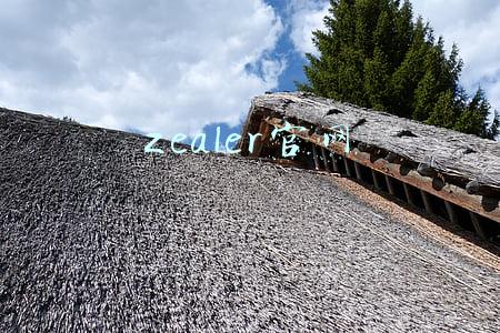 zealer官网