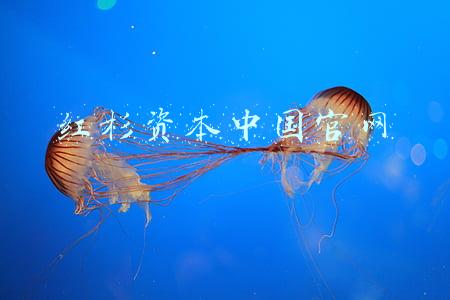 红杉资本中国官网