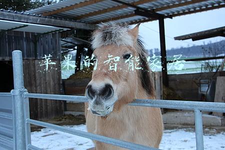 苹果的智能家居