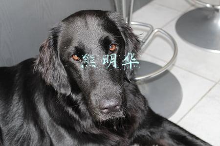 熊明华