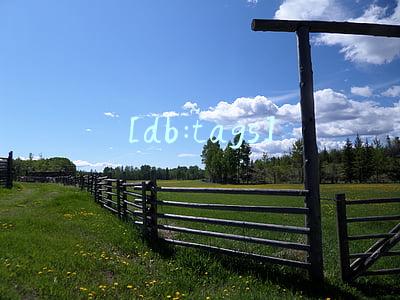 [db:tags]
