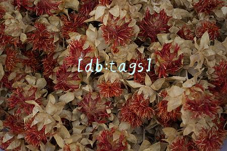 [db:tags]